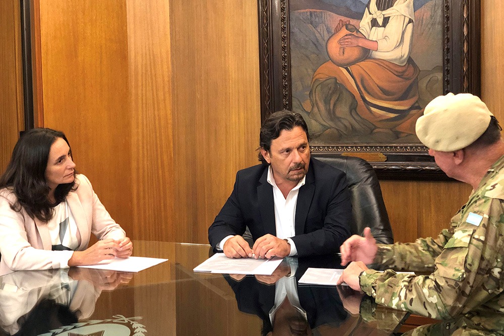 18-3- sáenz -medrano y castelli