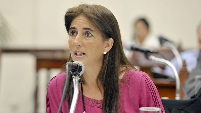 Socorro Villamayor (PAIS): «Solicitaré todos los informes necesarios para saber qué provincia recibió Gustavo Sáenz»