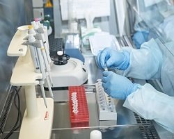 Coronavirus en Salta: son cinco los casos pendientes y no se registran nuevos pacientes confirmados este lunes