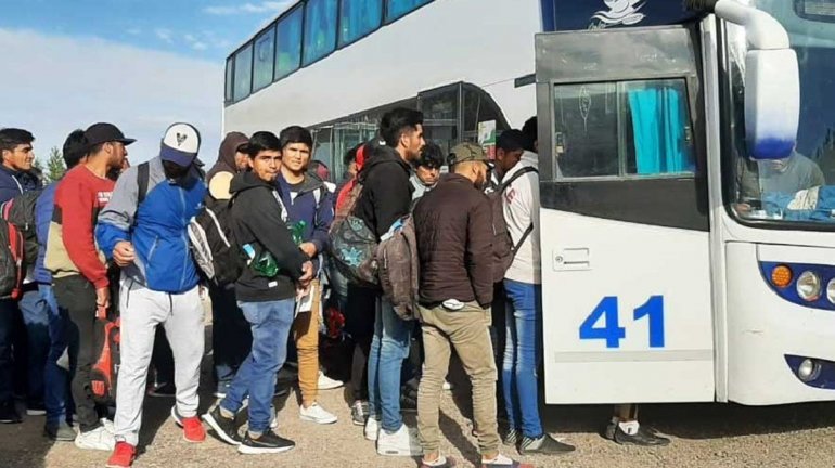 Viajes «humanitarios», repatriados y golondrinas, el plan de Alberto para salvar los micros de larga distancia