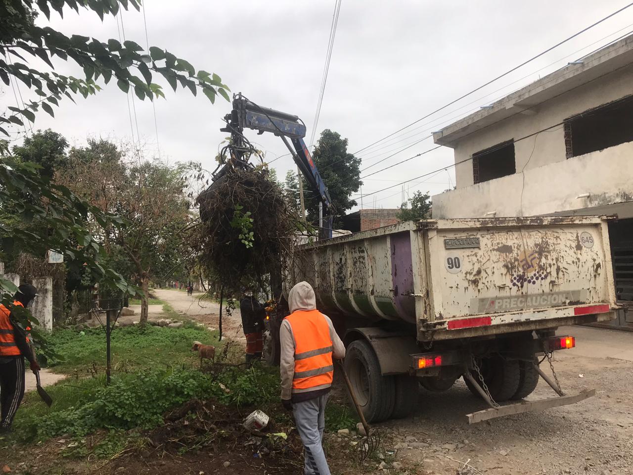 Dengue: hasta la próxima semana se trabajará en nueve barrios de la ciudad