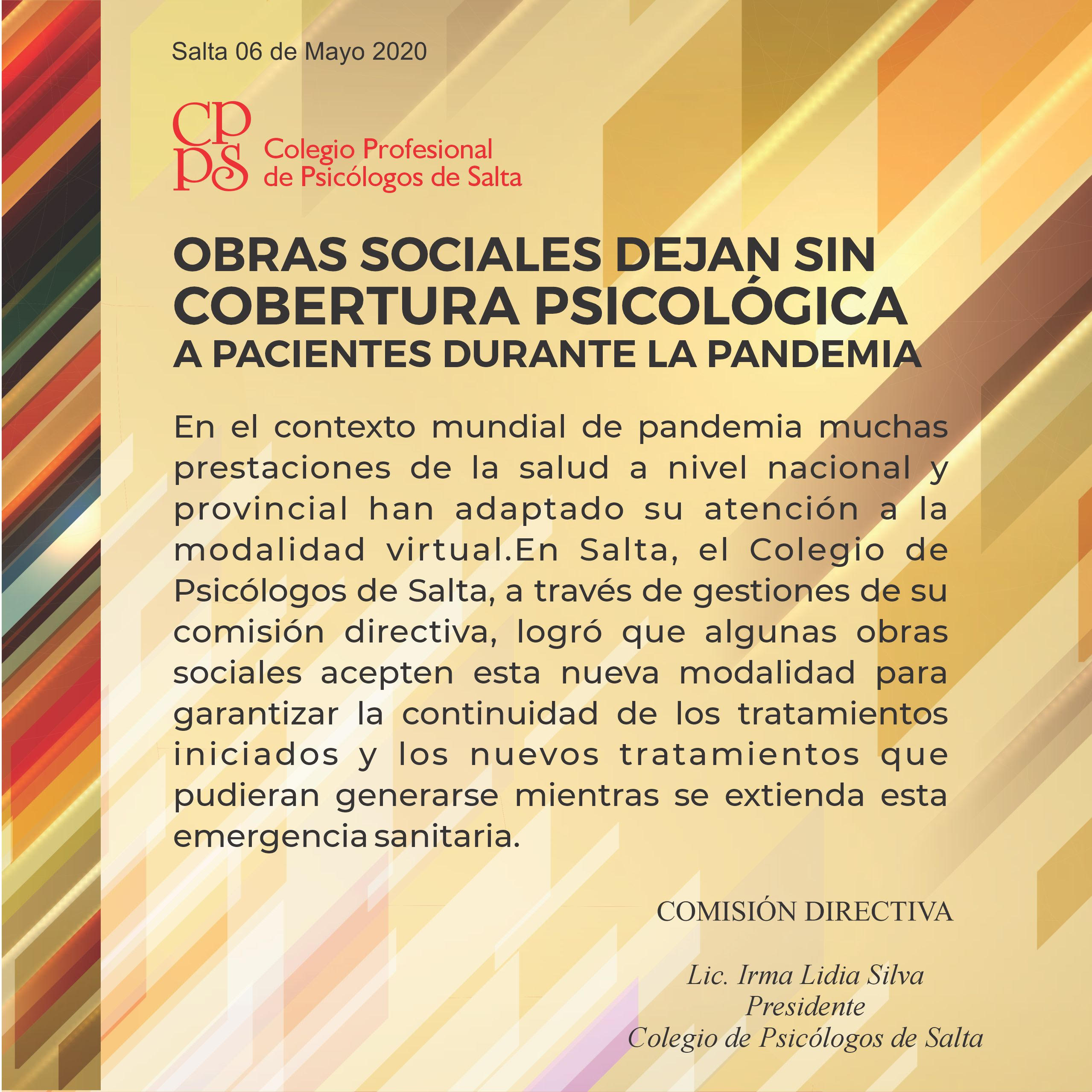 El Colegio de Psicólogos de Salta insiste en la defensa del derecho a la protección de la salud mental