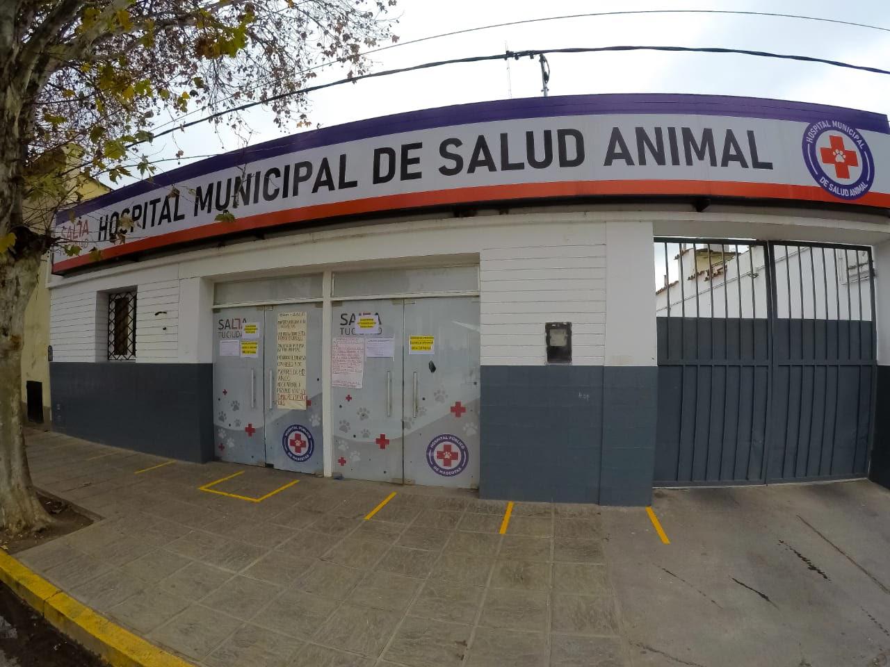 Este lunes, activaron el protocolo de Covid-19 en el Hospital de Mascotas