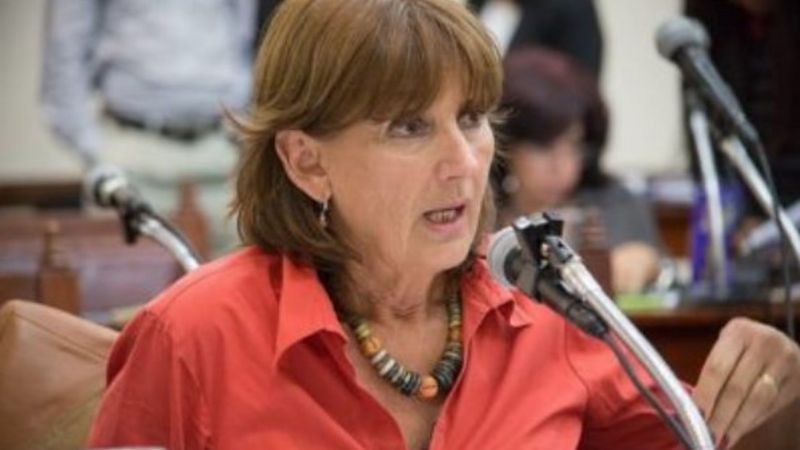 Virginia Cornejo (PRO): «Creo que Martín de los Ríos debería renunciar al partido no pedir licencia»