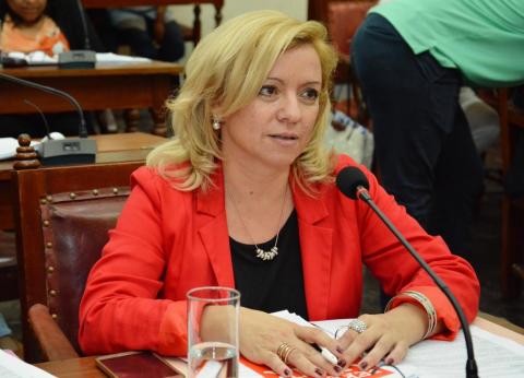 Frida Fonseca (Presidente Legislación Gral. del CD): «Me parece absolutamente justificado suspender las PASO en 2021»
