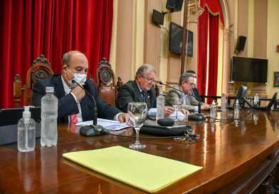 Senadores dio dictamen favorable a la suspensión de las Paso y Ficha Limpia. VIDEO