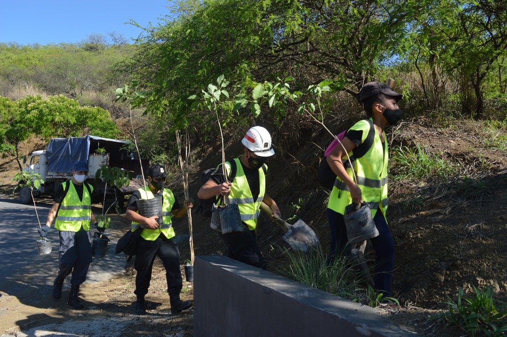 Plantaron 100 árboles en el Cerro San Bernardo