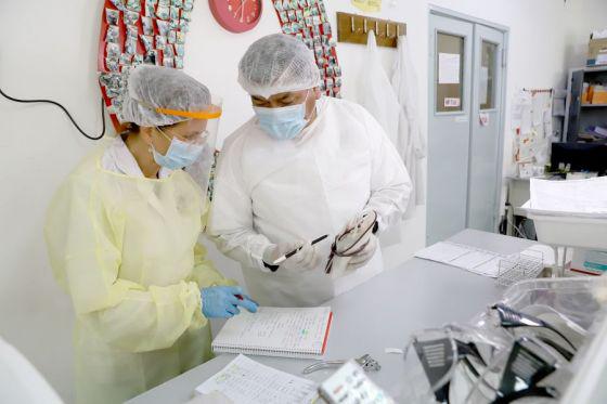 Salta confirmó 18 nuevos casos de COVID-19 y 1 fallecido este lunes