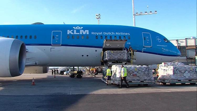 Argentina sumó 218 mil vacunas AstraZeneca del fondo Covax, que impulsa la OMS