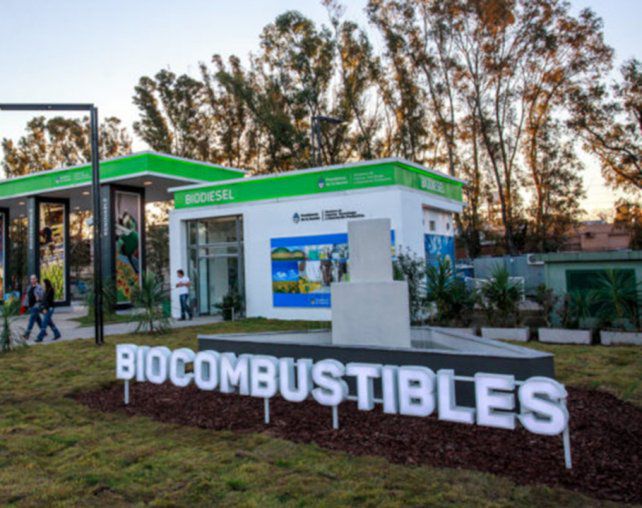 Biocombustibles, el país marcha a un retroceso ambiental de 15 años