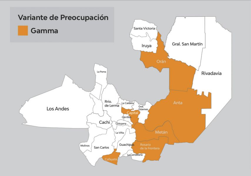 En la provincia hay circulación comunitaria de la variante Manaos. VIDEO