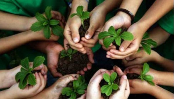 En el Día del Medio Ambiente, el objetivo es crear conciencia
