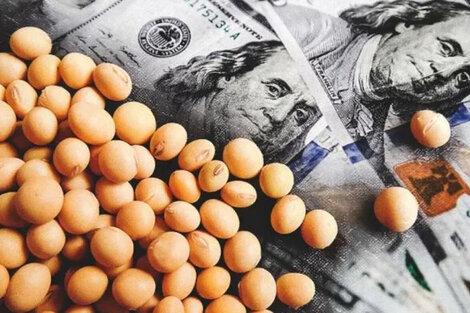 Desde este lunes rige el dólar soja: la divisa cotiza a $ 230 y busca captar una liquidación de US$ 3.000 millones