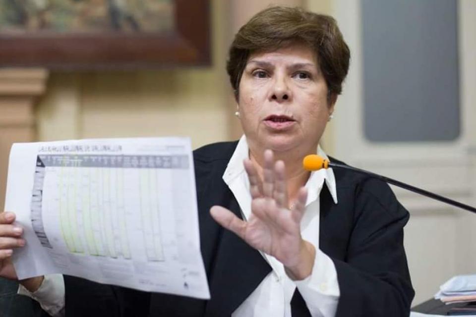 Gladys Paredes (dip. San Martín): «Es necesario volver a intensificar cuidados por el tema dengue»