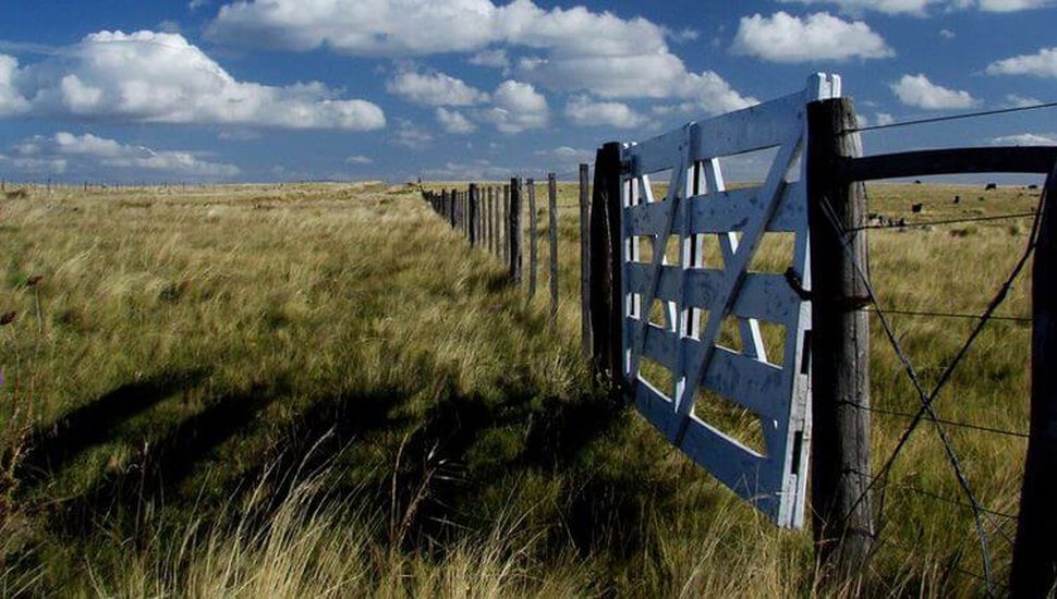 Inseguridad en el campo: Prograno pide al arco político soluciones urgentes