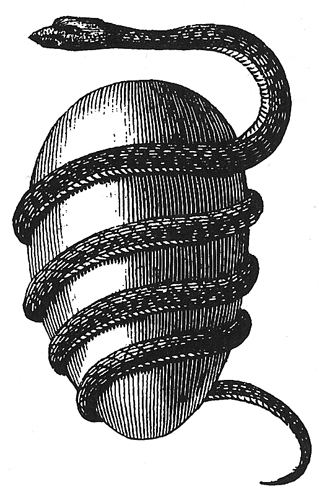 El huevo de la serpiente – Por: Jaime Duránd Barba
