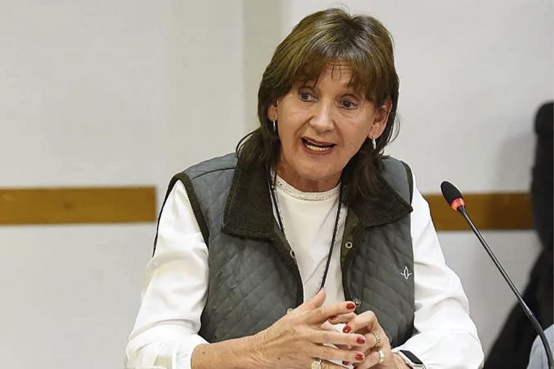 Virginia Cornejo (diputada nacional PRO): «Estamos más cerca de Milei que de Massa»