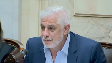 Pablo Outes y la Ley Ómnibus: sus argumentos en el debate de Diputados