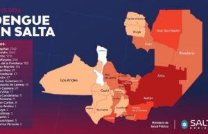 Dengue: Son más de 6 mil los casos confirmados en la Provincia