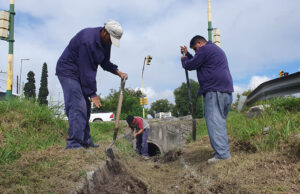 Continúa la limpieza del desagüe pluvial colindante a la Avda. Tavella. VIDEO/FOTOS