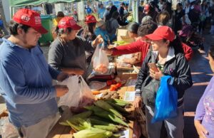 “El mercado en tu barrio” se instalará en plaza España. VIDEO