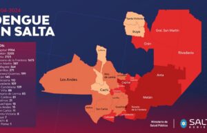 En Salta ya se confirmaron más de 18 mil casos de dengue