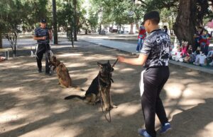 Con diversas actividades se celebra el Día del Animal en la ciudad. VIDEO/FOTOS