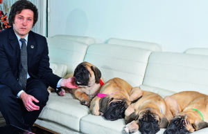 Perros clonados en los jardines de Olivos – Por: Alejandro Borensztein