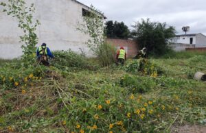 La Municipalidad continúa saneando baldíos en mal estado- VIDEO/FOTOS