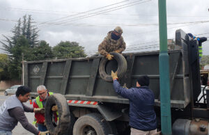 Descacharrado: hasta la fecha se llevan retiradas 120 toneladas de residuos. VIDEO/FOTOS