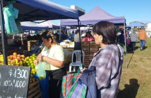 Con amplia variedad de productos, esta semana vuelve “El mercado en tu barrio”, VIDEO