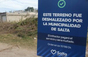 El municipio limpió un nuevo terreno baldío en mal estado. FOTOS