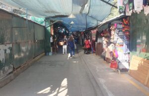 Comenzó el censo de feriantes en el Paseo San Martín