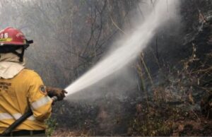 Temporada de riesgo de incendios forestales: el Gobierno insta a extremar las medidas de precaución