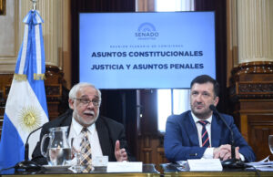 El Senado retoma la discusión del proyecto que impone penas de hasta 10 años por entregar niños