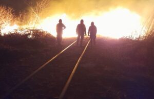 Más de 40 llamados de emergencia se asistieron en la línea municipal. FOTOS