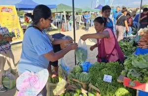 “El mercado en tu barrio” vuelve este viernes a la zona sur con grandes descuentos
