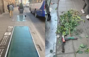 Ciudad: realizan tareas de mantenimiento y limpieza en el paseo “Ventanas al Pasado”
