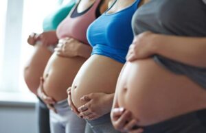 Este viernes 1° de noviembre inicia la carga del boleto solidario municipal