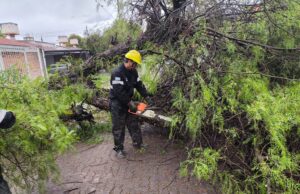 Por la lluvia, el Sistema de Emergencias 105 intervino en 15 incidentes en la ciudad