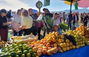 «El mercado en tu barrio” vuelve a la plaza España. FOTOS