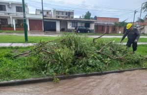 El sistema municipal de Emergencias 105 intervino en 30 incidentes por la tormenta. FOTOS