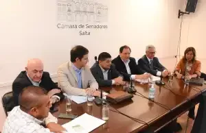 El Senado inició el análisis del Proyecto de Ley que propicia la implementación del Juicio por Jurados en Salta