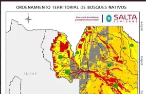 Protección ambiental: Salta cuenta con una nueva propuesta sobre Bosques Nativos