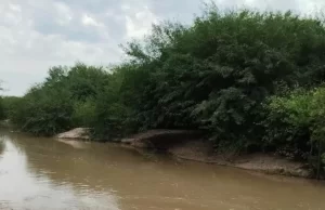 Continúa el monitoreo del Comité de Emergencia Climática en el río Pilcomayo. VIDEO