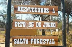 Salta Forestal trabaja en un plan integral de regularización dominial y ordenamiento productivo. VIDEO