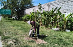 Nueva jornada de reforestación junto a la Asociación de Hoteles de Salta. VIDEO/FOTOS