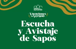 Escucha y avistaje de sapos en el Parque de Bicentenario