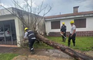 Ciudad: los canales pluviales funcionaron de forma óptima durante la lluvia. FOTOS