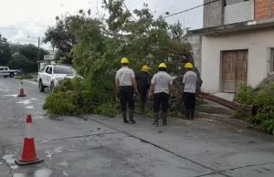 El Sistema de Emergencias Municipal 105 recibió 46 llamados tras la tormenta. FOTOS